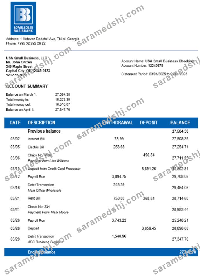Basis Bank company statement Word and PDF format